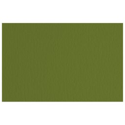 Papir u boji A4 220g Elle Erre Fabriano maslinasto zeleni (verdone) pk50