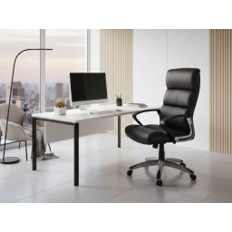 Kancelarijska fotelja Terra Crni Mesh, Crna baza ( 755-940 )
