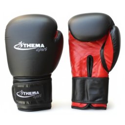 ThemaSport rukavice za boks prirodna koza ( bi-2309 )