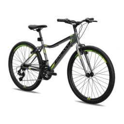 Galaxy Bicikl galaxy festina 26"/18 siva/crna/neon zelena mat ( 650214 )