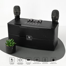 Bluetooth zvucnik sa mikrofonom YS201 crni