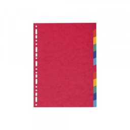 Exacompta pregradni karton A4 Exacompta 2012E color 1/12 ( 6977 )