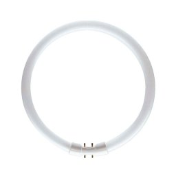 Sijalica fluorescentna cirkularna PHILIPS 60W PS078