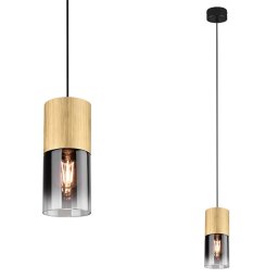 Visilica Robin 1xE27 Trio Lighting 310600154