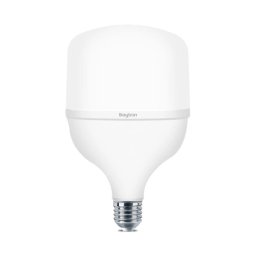 BRY ADVANCE 40W E27 T120 PLS 6500K LED SIJALICA