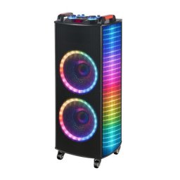 Zvucnik bluetooth ndr-1010s 100w 2*10 inca sa dva mikrofona crni ( ZV1248 )