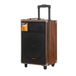 Zvucnik bluetooth ndr-bq12 50w 12 inca sa mikrofonom crni ( ZV1181 )