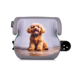 Chipolino Autosedište I-SIZE 125 150 cm GO BOOST Poodle ( SDKGB02602PO )