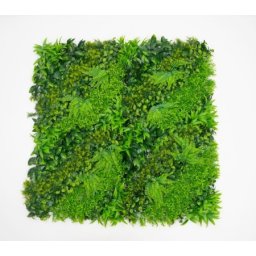 Zeleni zid 3d lux 100x100 cm ( bolzzidlux )