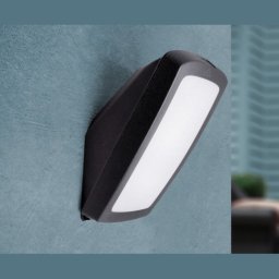 Zidna/plafonska lampa crna GERMANA IP66 1xE27 2N1.000.000.P27 Fumagalli