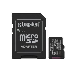 Memorijska kartica 256GB gen3