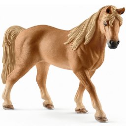 Tennessee Walker kobila 13833