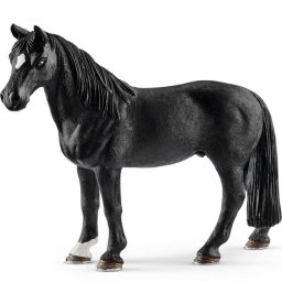 Tennessee Walker pastuv 13832