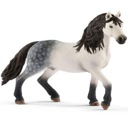 Andalusian pastuv 13821