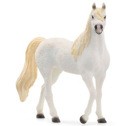 Arabian kobila 13983