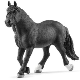 Pastuv Noriker 13958