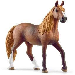 Kobila Peruvian Paso 13953