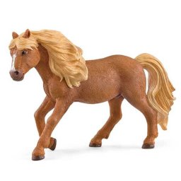 Islandski poni pastuv 13943