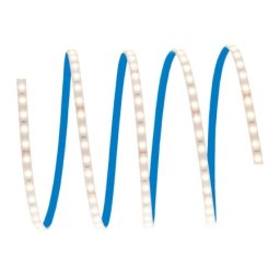 Ledvance Osram LED traka 24V 5m 6500K 2000lm 24W IP65 ( 4099854689055E )