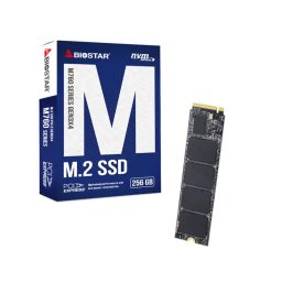SSD M.2 NVME 256GB Biostar 2800MBs/1150MBs M760