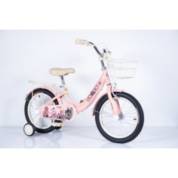 Dečiji bicikl 16 raccoon pink ( BCK0404 )