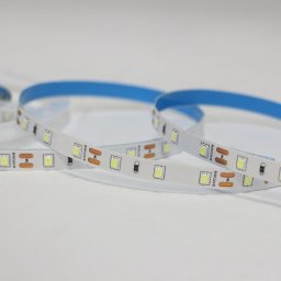 XLED 5W/M-12V- 4000K-500LM/M -IP20- 5M KOTUR