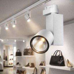 Šiinski Led reflektor 30w COB PD (Boja svetlosti: HLADNO BELA - 6500 kelvina)