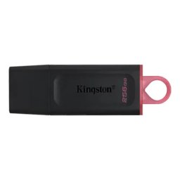 Kingston DTX/256GB USB Flash memorija 256GB ( 83004 )