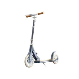 Trotinet sa 2 točka sklopivi sa kočnicom model tt-1005 plava/bež ( 540132 )