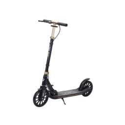Trotinet sa 2 točka sklopivi sa kočnicom model tt-1005 crna ( 540134 )