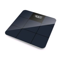 Vox PW447 02