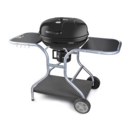 Fieldmann FZG 1014 roštilj na ćumur