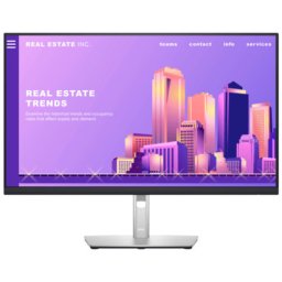 Dell 27" P2722H Professional IPS monitor