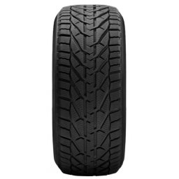 Riken 205/50R17 93V Snow zimska ( 006925 )