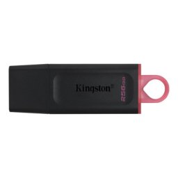 Kingston usb flash DTX/256GB ( KIN080 )