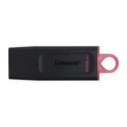 Kingston Usb flash memorija data traveler exodia 256gb 3.2 dtx crno roze ( FM789 )