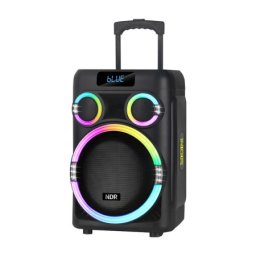 Zvucnik bluetooth ndr-b315 60w 15inca sa dva mikrofona crni ( ZV1249 )