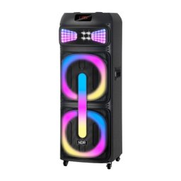 Zvucnik bluetooth ndr-2250 100w 2x12 inca sa dva mikrofona crni ( ZV1250 )