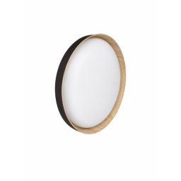 Led Plafonjera R-A19 + KONTROLER ( 5064 )