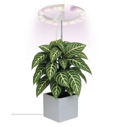 LAMPA ZA BILJKE LED 8W USB SA TAJMEROM DIMABILNA Z7902 EMOS