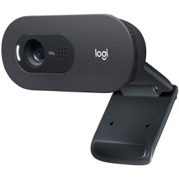 LOGITECH C505E Long Range HD web kamera