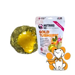 LK Baits Nutrigo Dog Supplement Gold Turmeric S/M 170g, Podrška Varenju Pasa