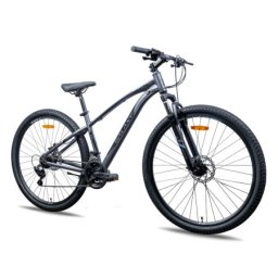 Galaxy Bicikl galaxy zenith 29"/21 siva/crna/plava mat ( 650232 )