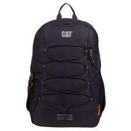 CAT HIMALAYAS RANAC DASPHA