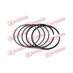 Guini parts Karike aspera tecumseh geo55 71 mm standard ( 12377 )