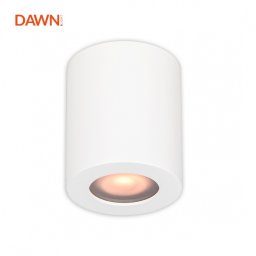 DAWN SVETILJKA JM-080 PLAFONSKA 1*GU10 BELA IP65