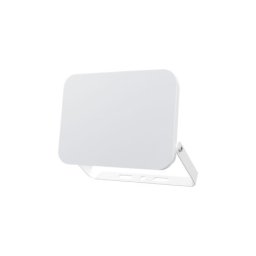 Braytron CCT LED reflektor 10W ( BT60-51080 )