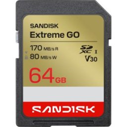 Extreme GO SDXC UHS-I 64GB 170MB/s V30 (SDSDXGN-064G-GNCIN)