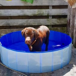 Duvo+ Dog Pool, Bazen Za Pse U Plavoj Boji – Ø120×30cm