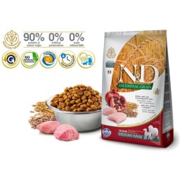 N&D Suva hrana LG Senior Medium and Maxi Chicken&Pomegranate 12 kg